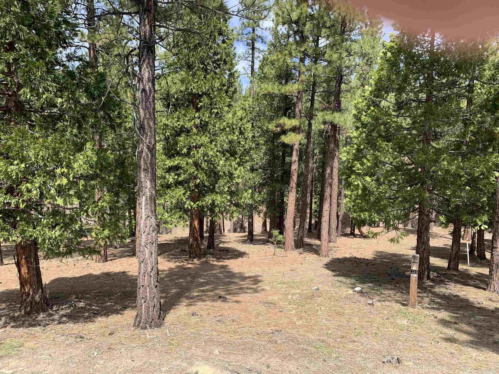 310 Starflower Dr  