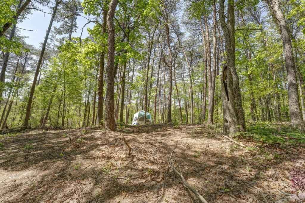 10483 Hwy 53 SE  