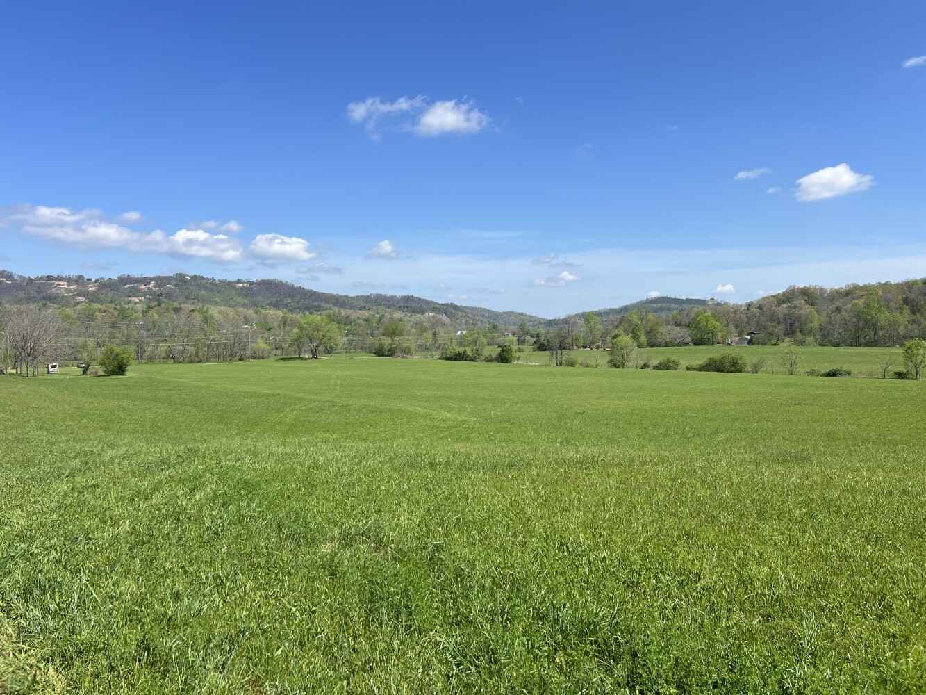 0 Monhollen Dr Lot 4  