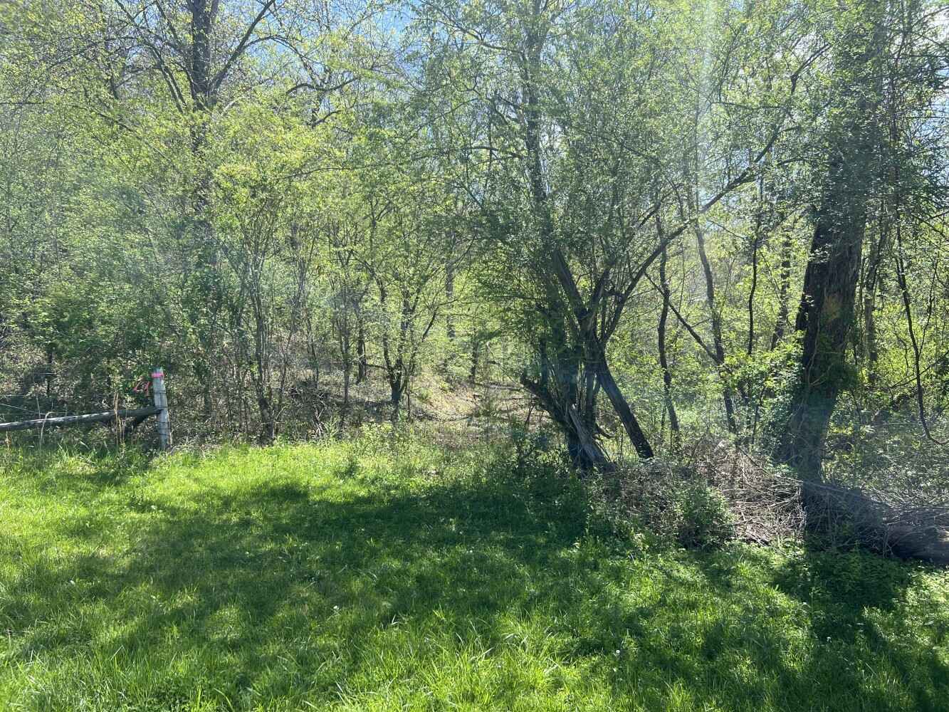 0 Tarwater Ln Lot 10  