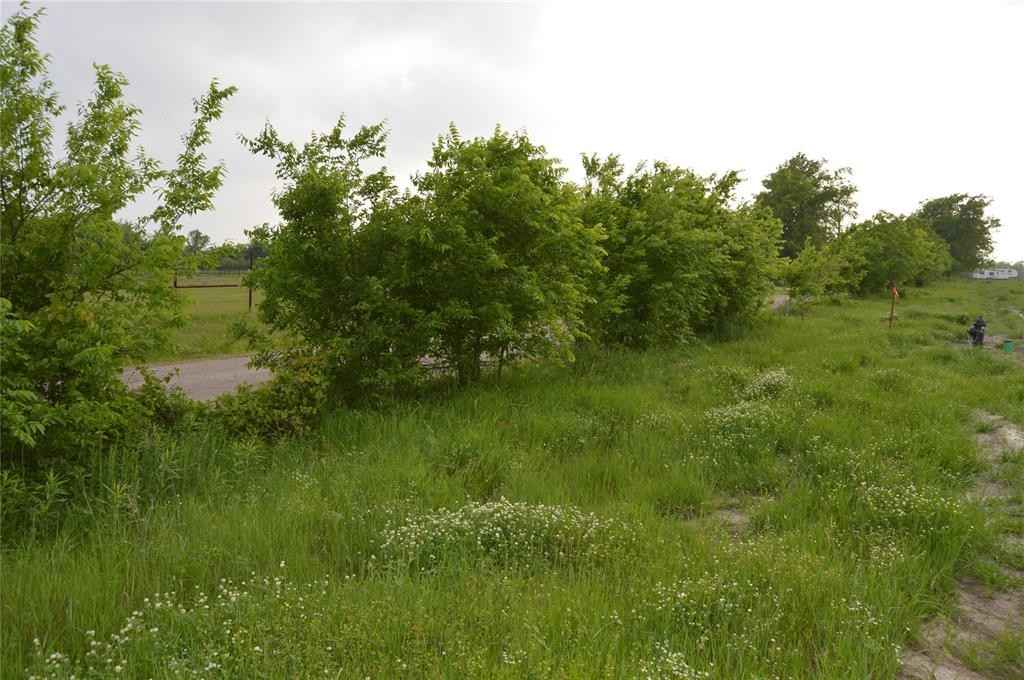 Tbd Lot 4 RS County Rd 1520  
