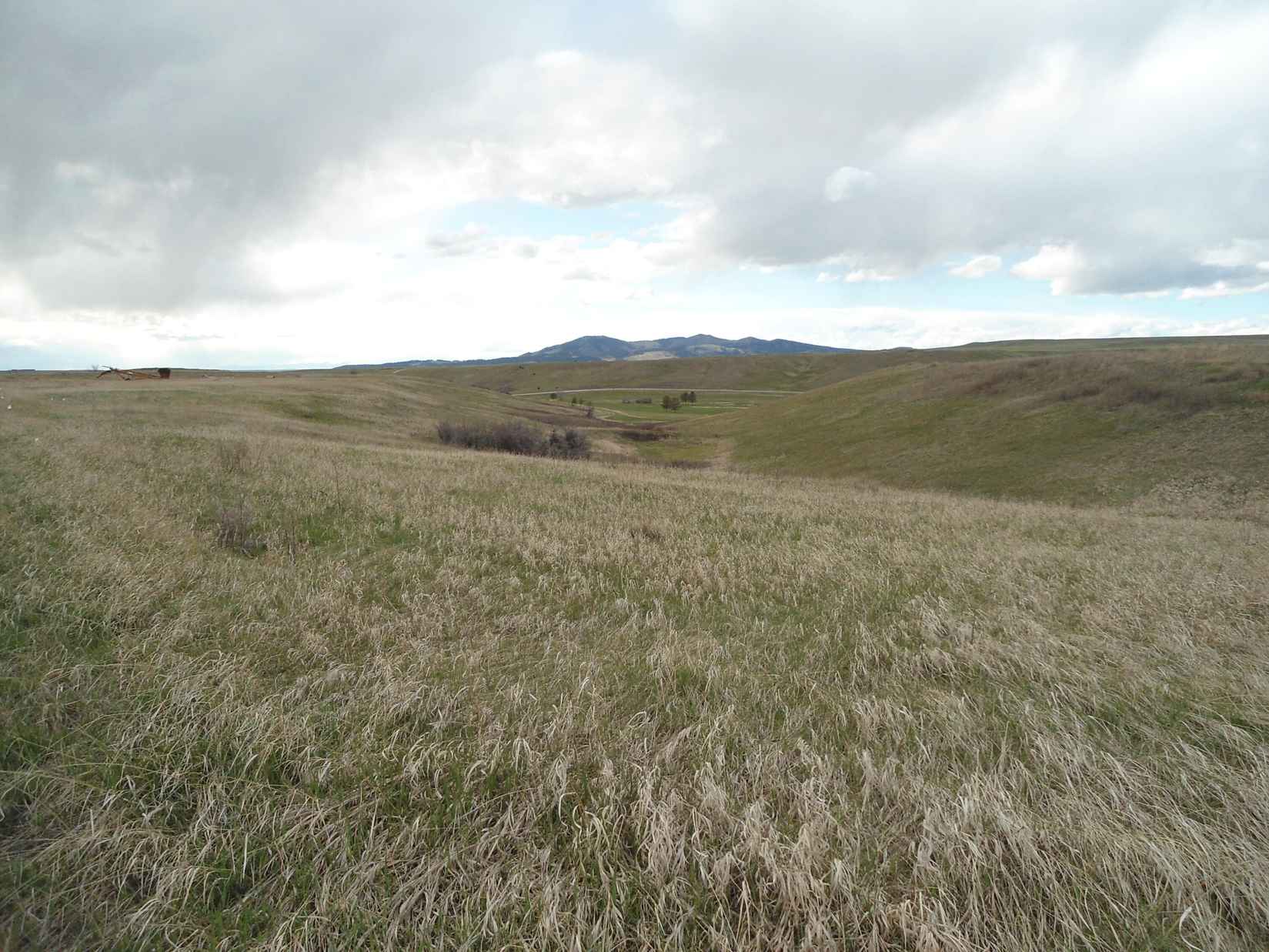 Lot 015b SHADOWS Loop  