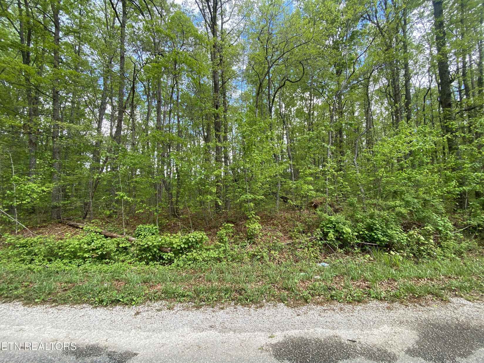 3131 Oswego Rd  