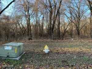 Lot 16 N Ozark Ave  