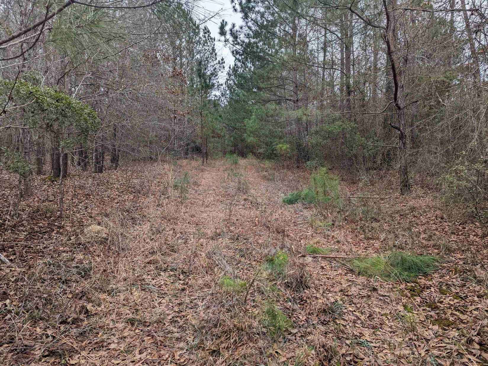 0 BETHEL Rd  