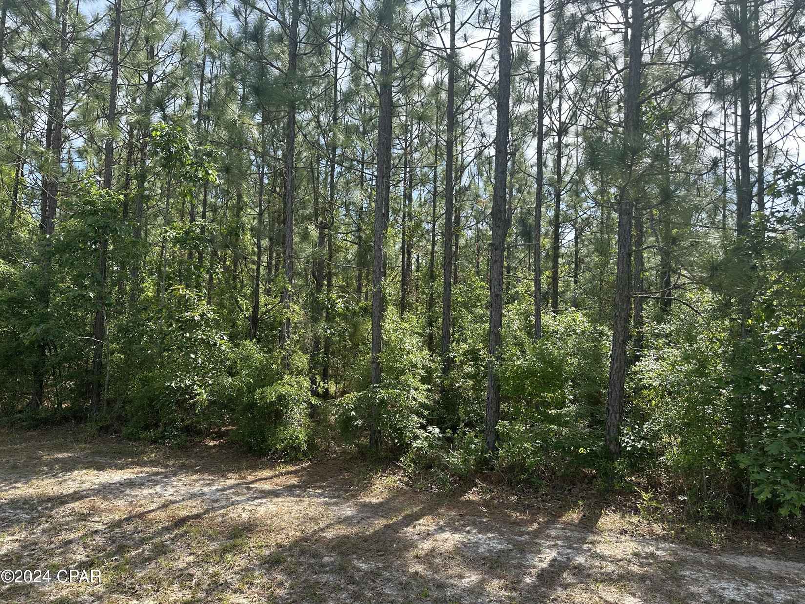 00 Silverwood Dr  