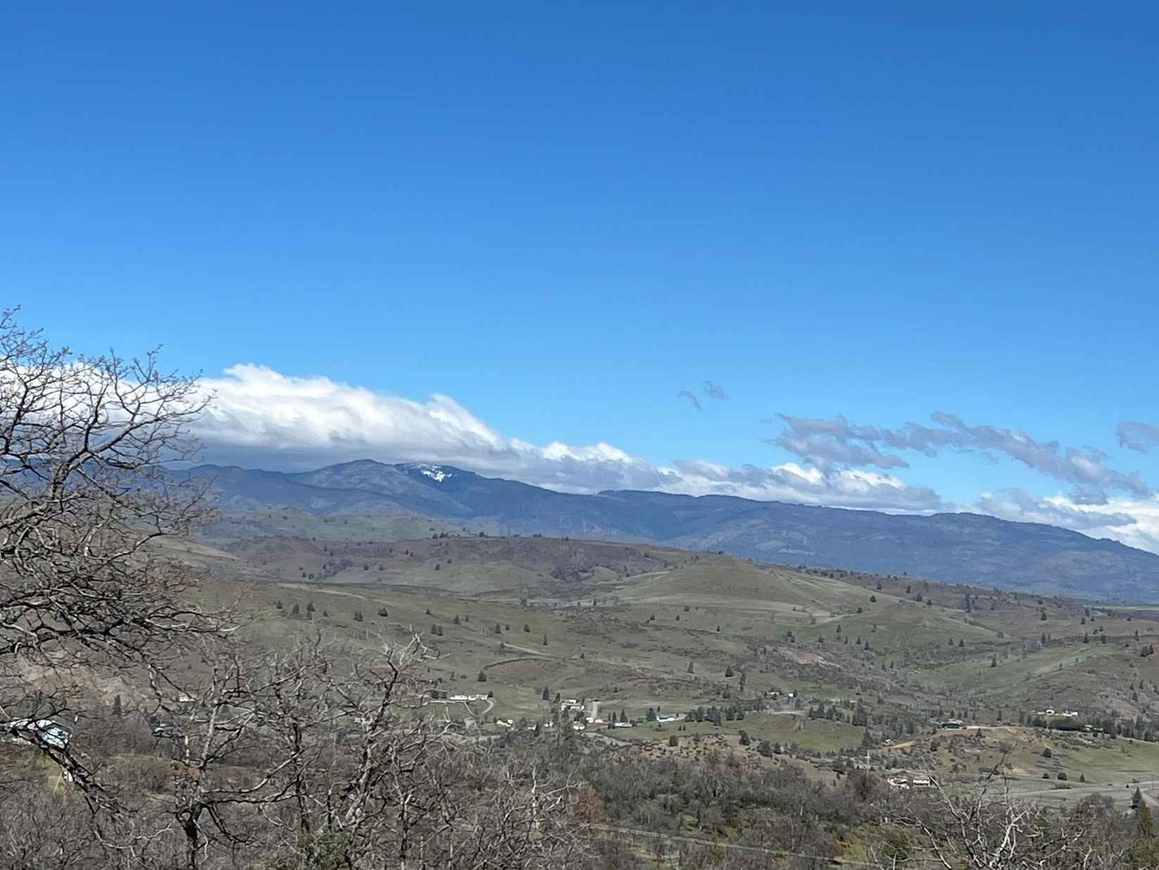 Lot 569 Ponderosa St  