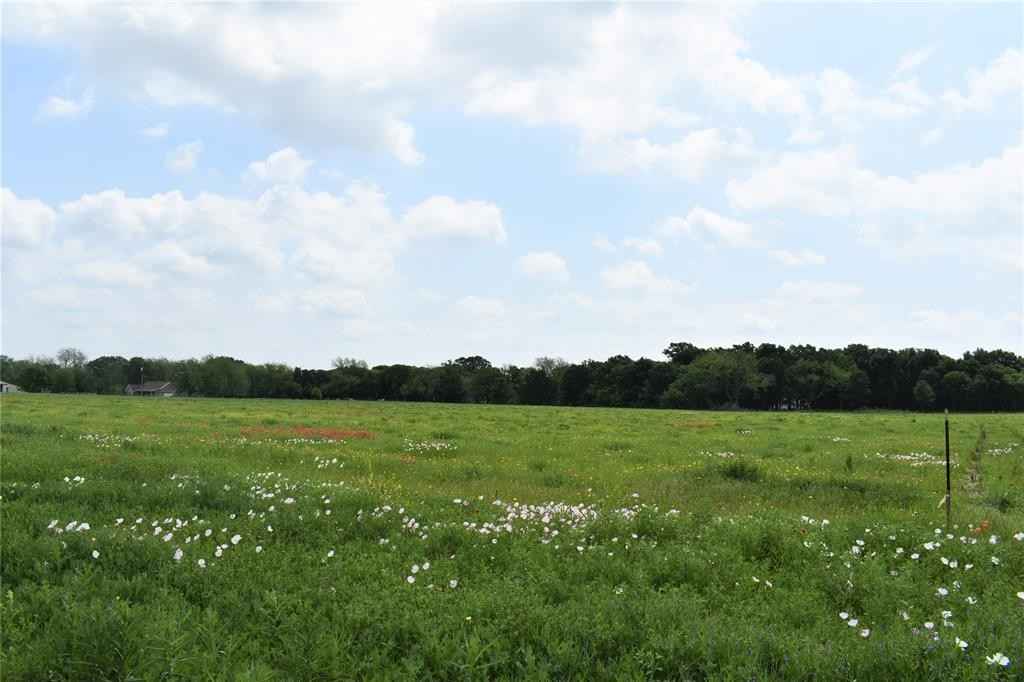 8316 County Rd 205  