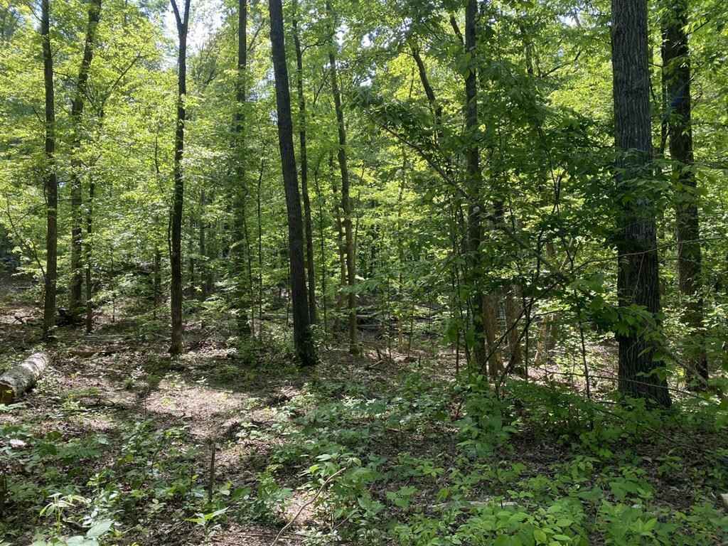 1957 Red Williams Rd  