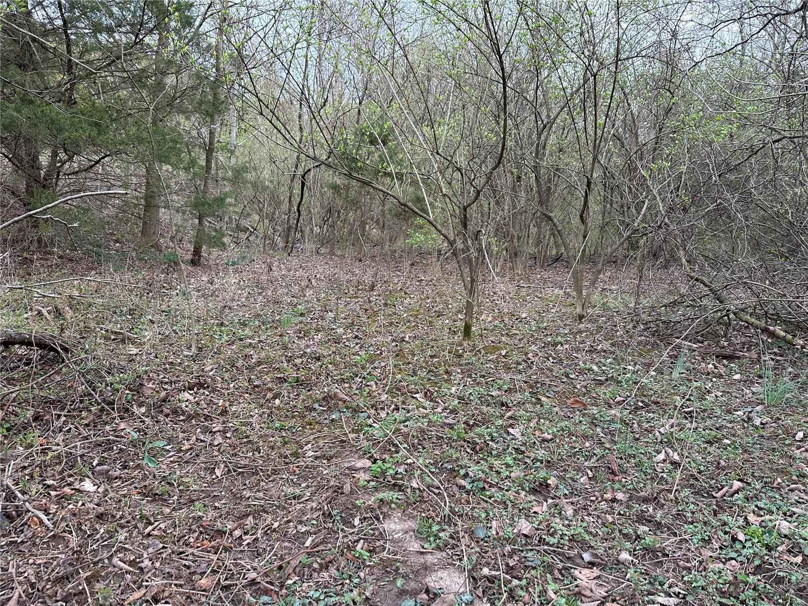 6517 Dallas Drive - 2 02 acre Lot  