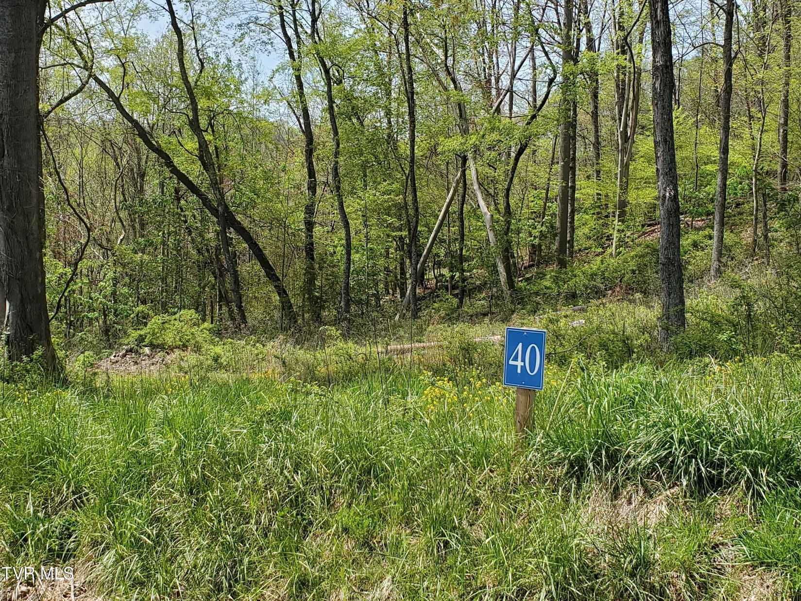 Lot 40 Cowan Town Rd  