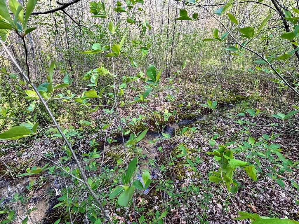 lot 83 Parkstown RD  