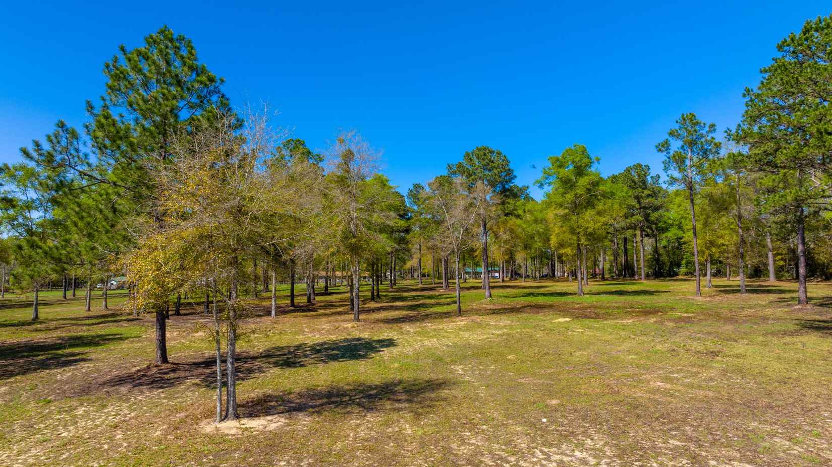 20 Acres Cannon Dr  