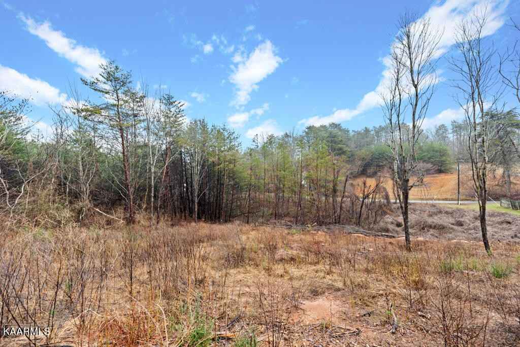 Lot 101b1 Harrington Ct  