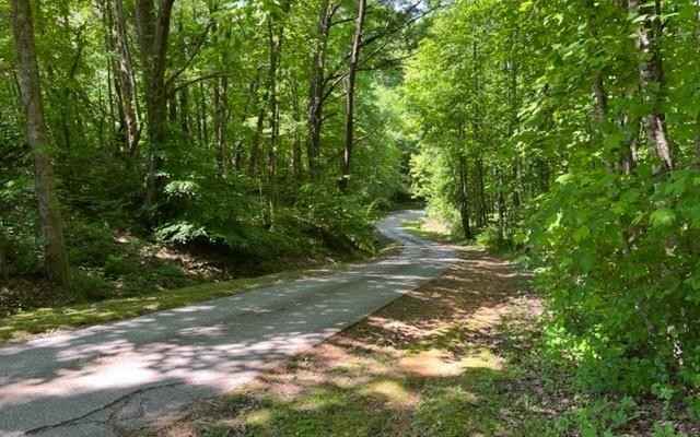 Lot7 Pine Rdg Dr  
