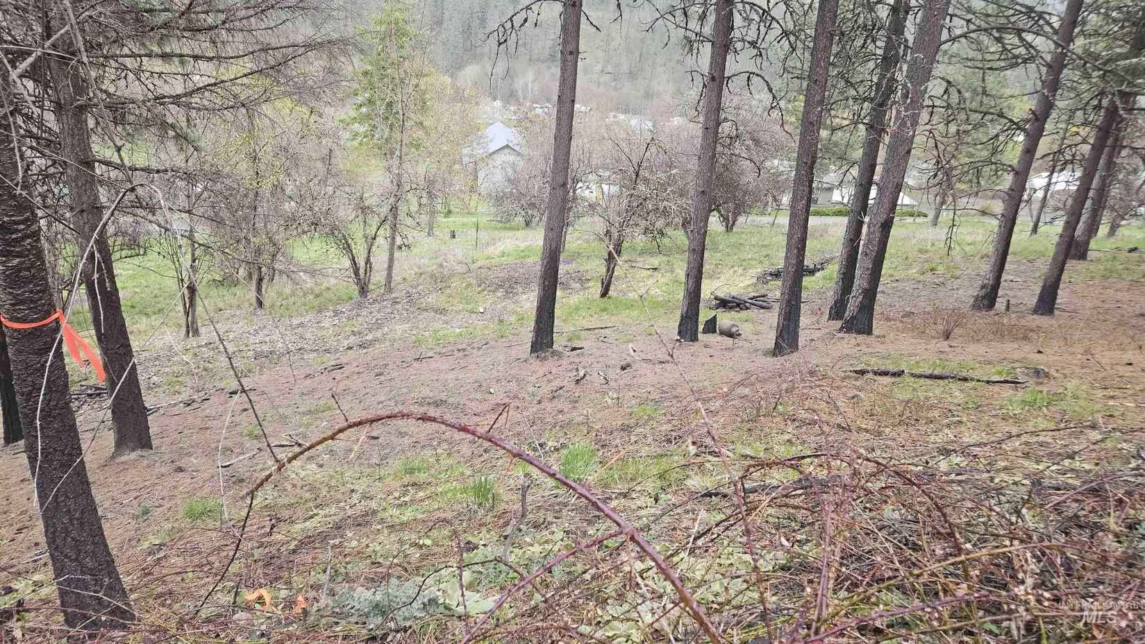 Tbd May St Blk 56 Lot 6  