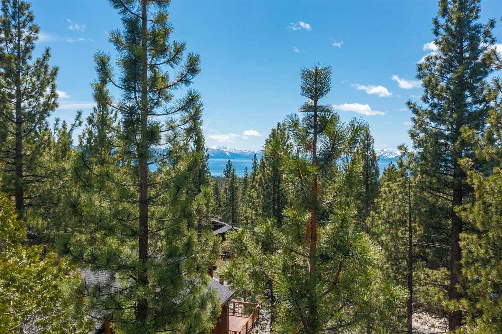 1430 Commonwealth Dr  