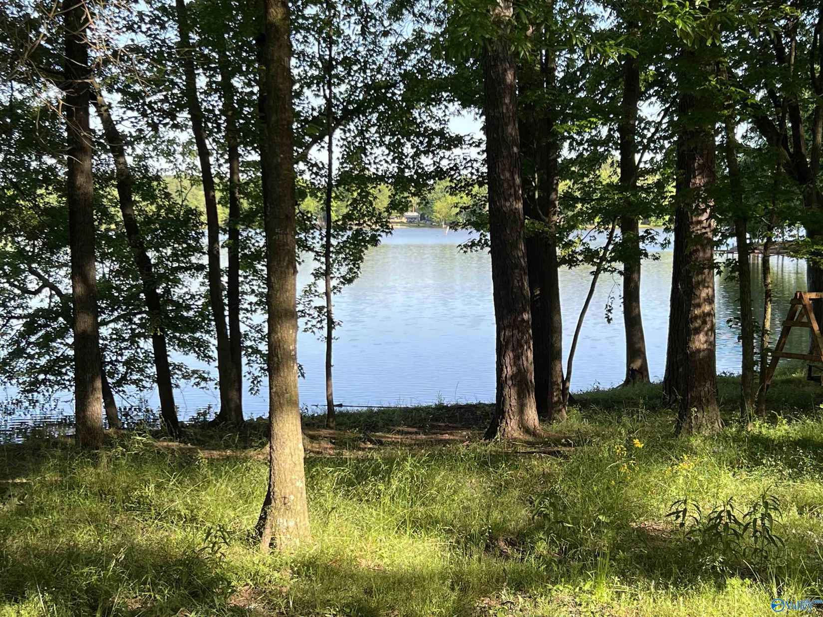 Lot 9 10 County Rd 609  