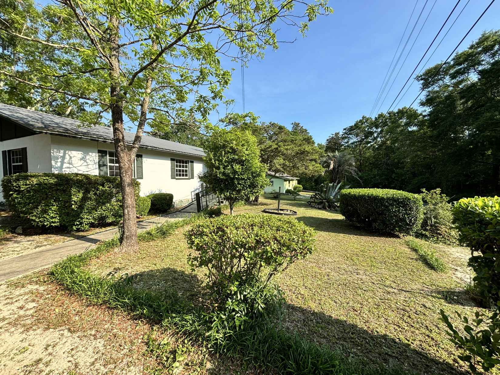 97 Graham St  