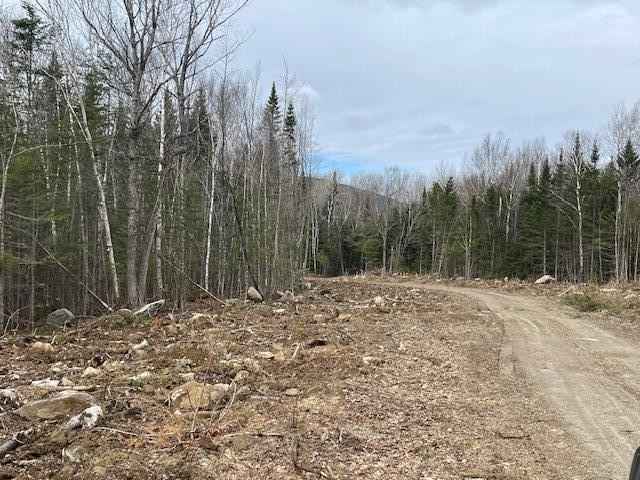 Lot 117 Big Snow Way  