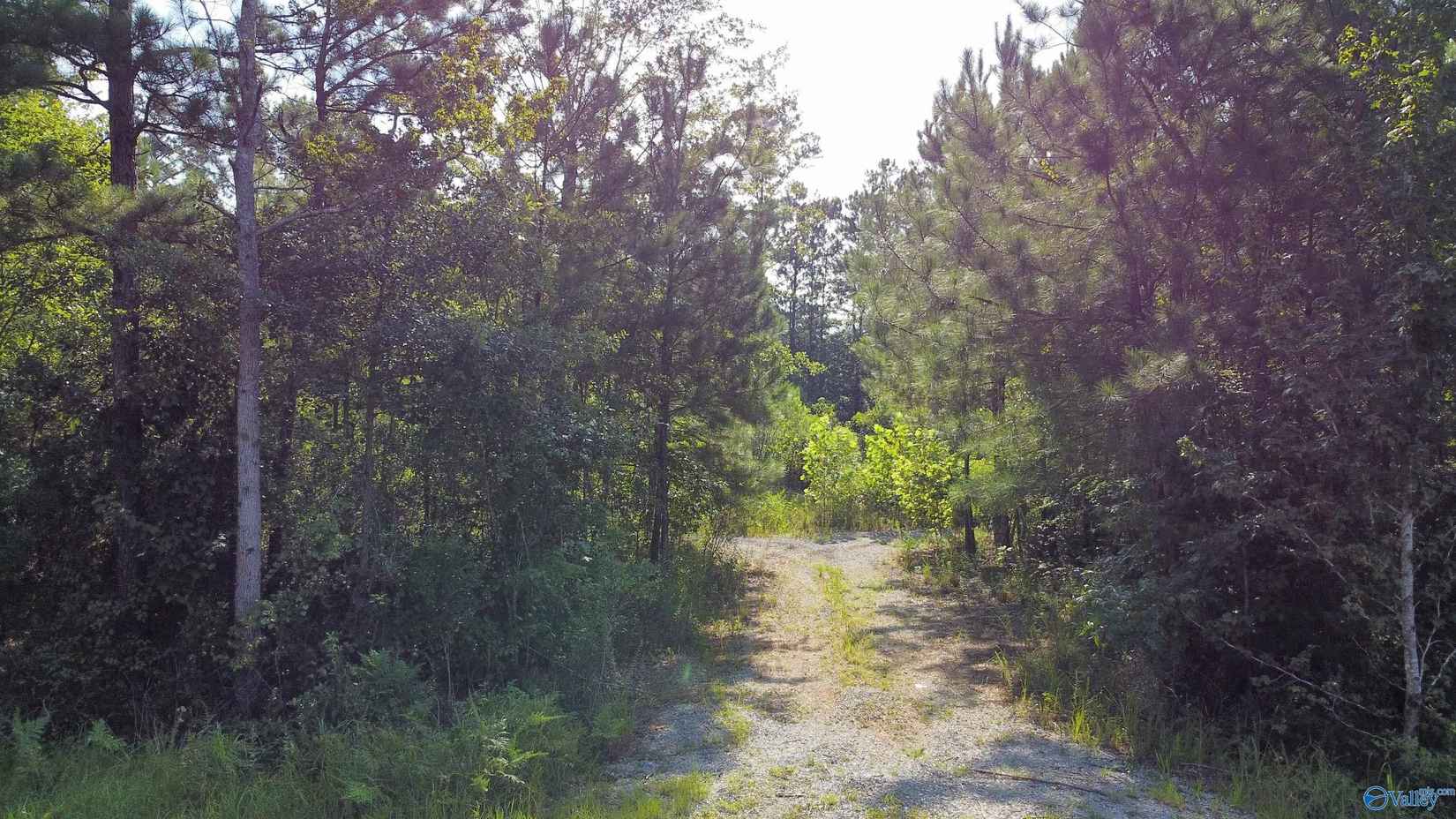 Lot 8 Hiawatha Pl  
