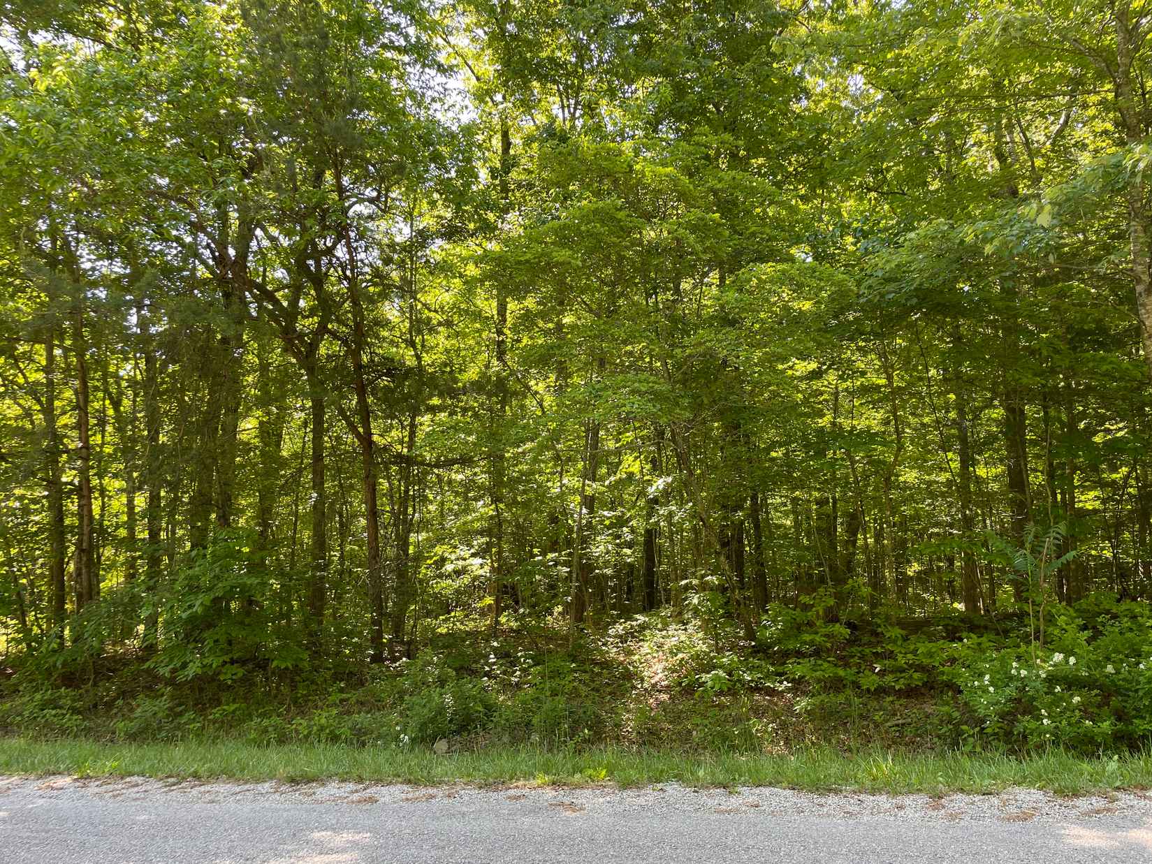 123 Beachwood Dr  