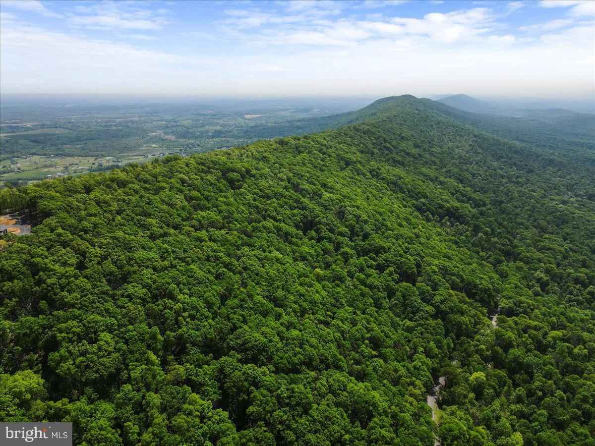 LOT 12 RADIO TOWER Rd  