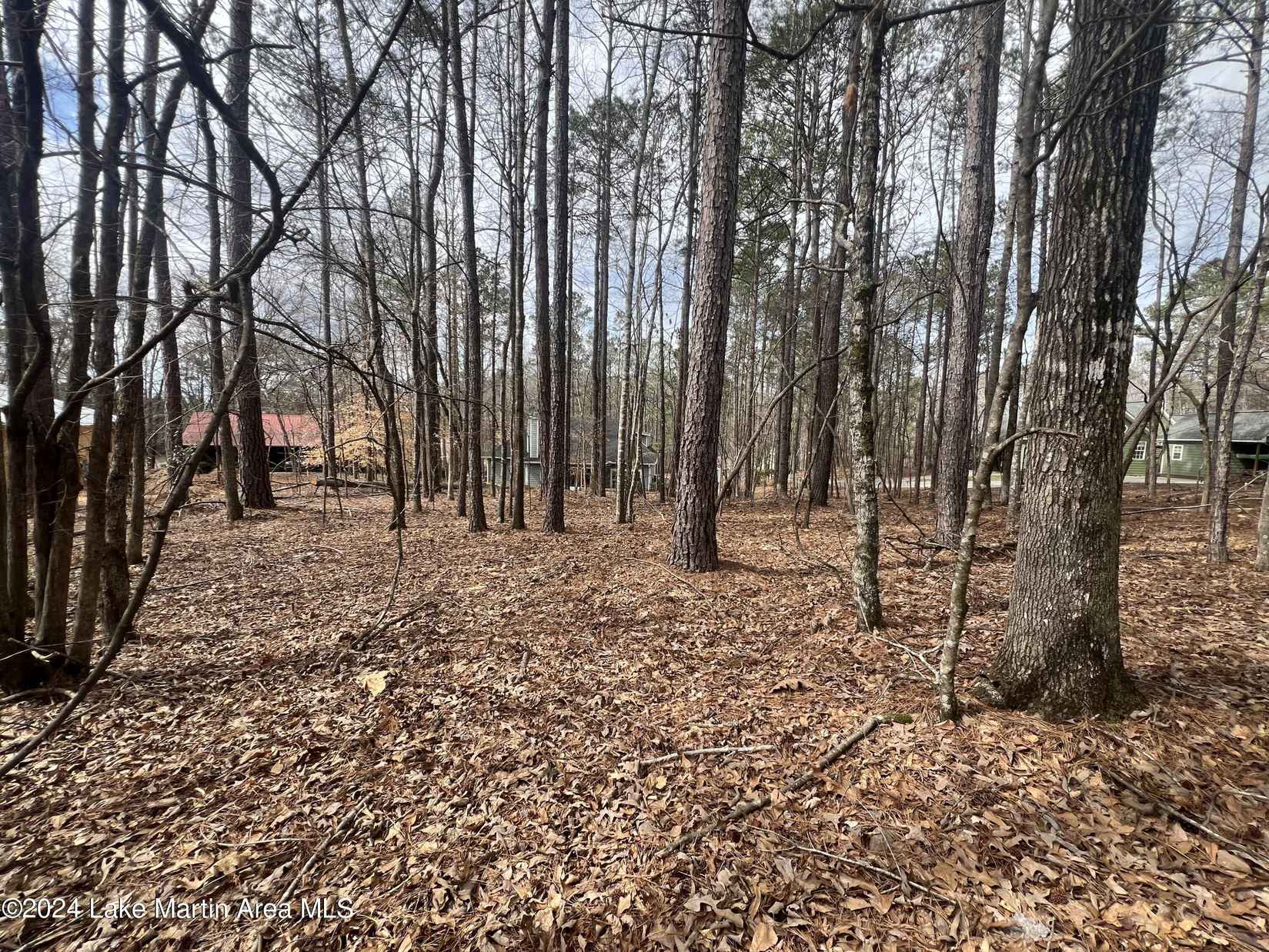 Lot 24 Dogwood Ln  