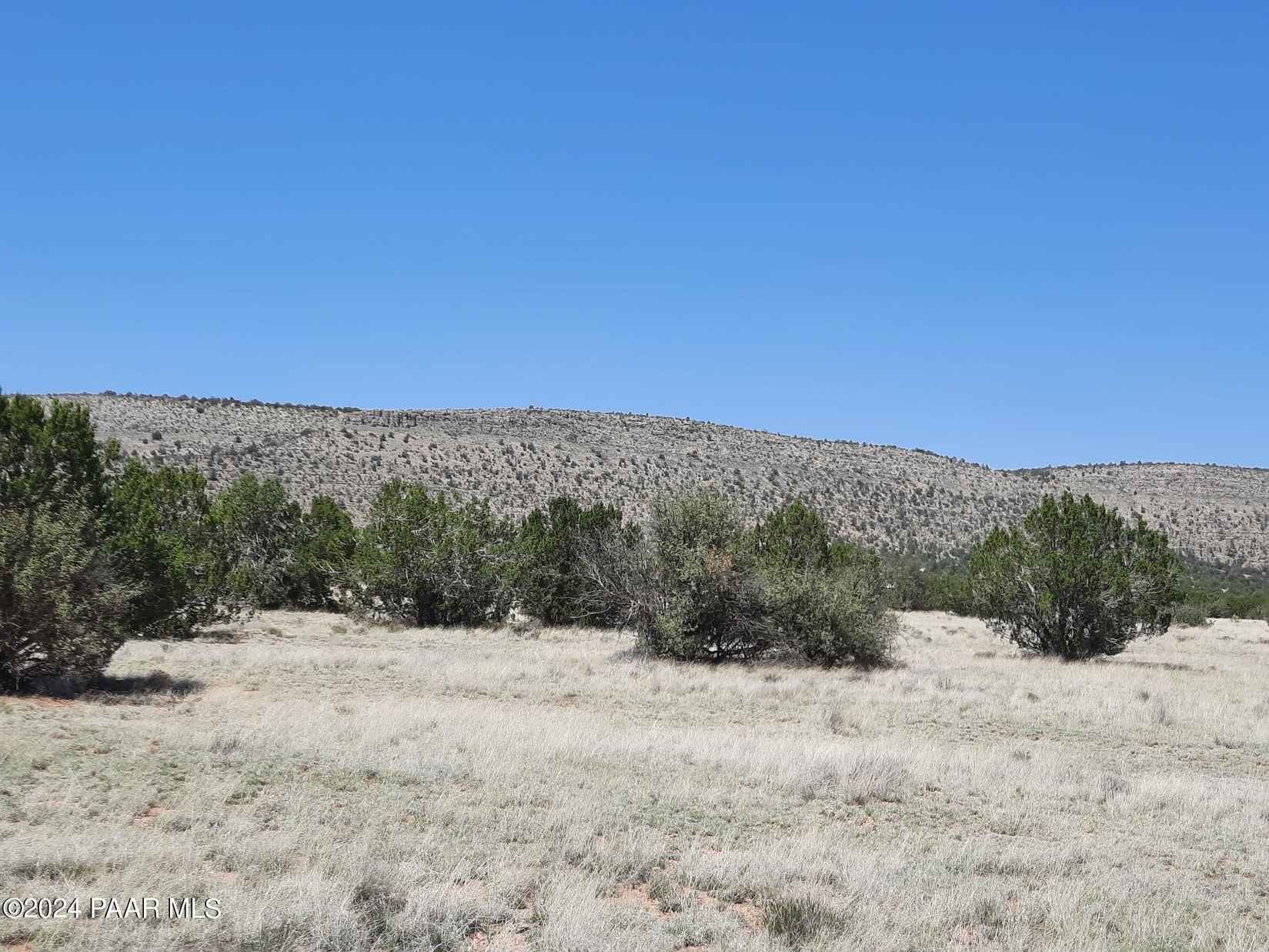 Lot 3652 W Datil Ln  
