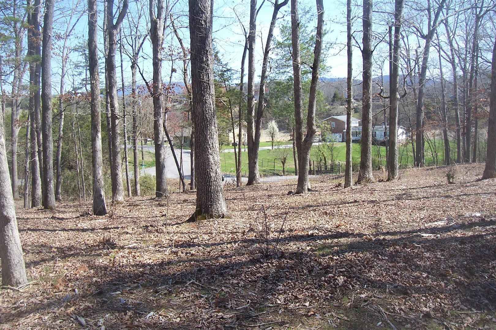 Lot 15 Romines Ln  