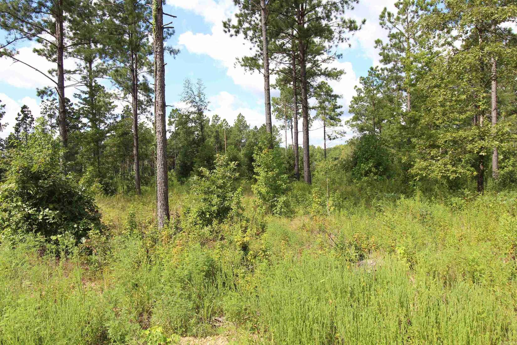 lot 15 Grant County Rd 761  