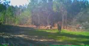 00 Acy Rd  