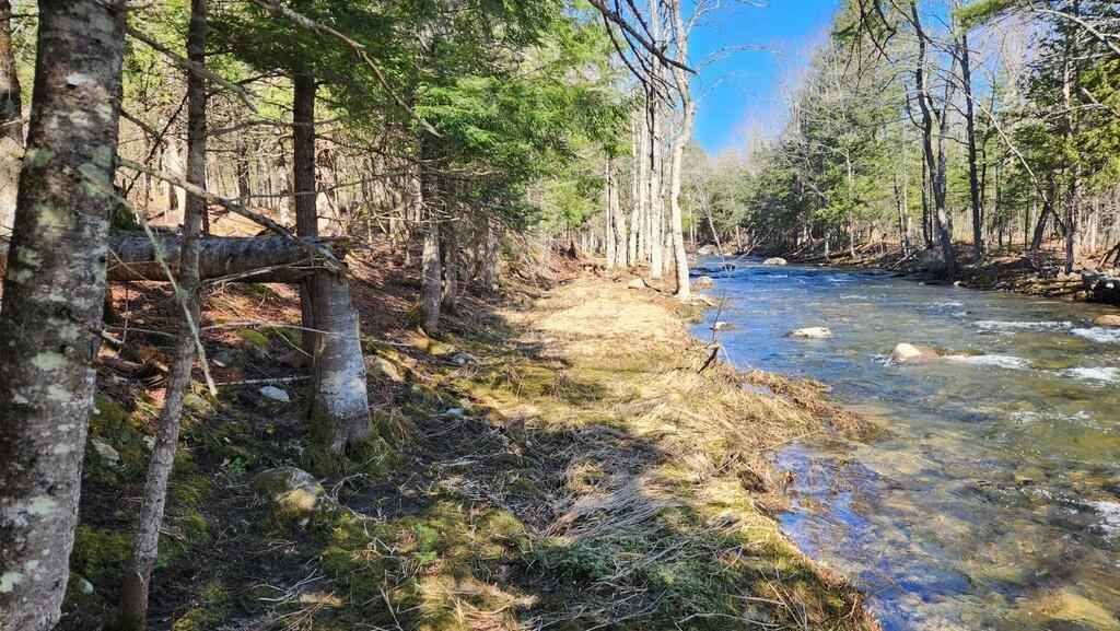 Lot 22 Weeks Mls Rd  