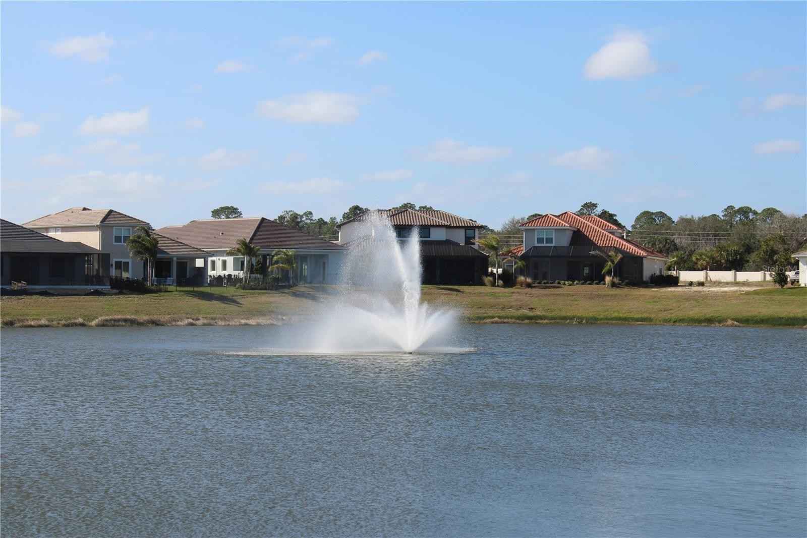 35 DEL PALMA Dr  