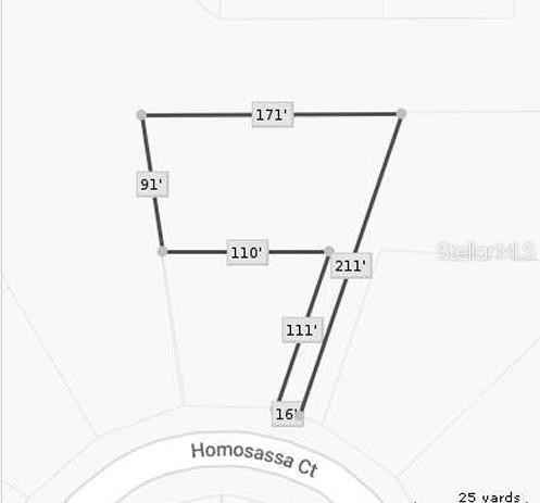 1325 HOMOSASSA Ct  