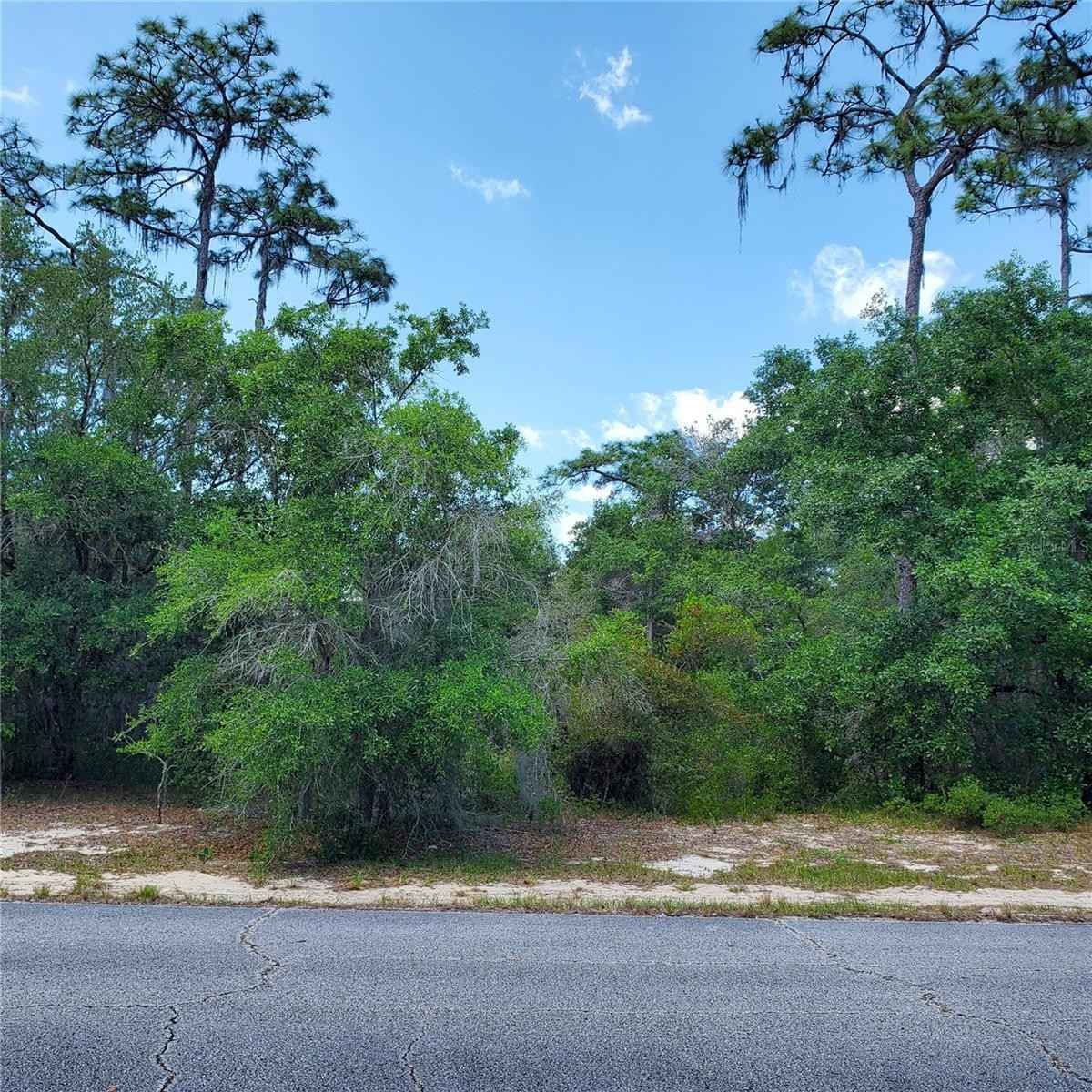 1345 ST AUGUSTINE Ct  