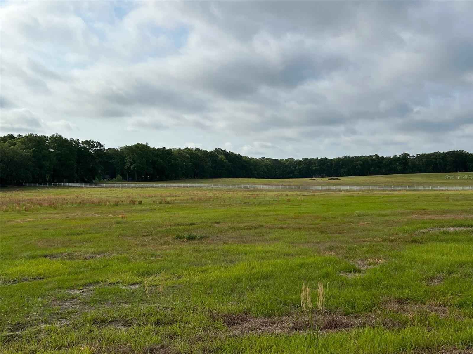 41 20 Acres 0 SW 53RD ST OCALA FL 34477  