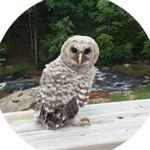 173 175 Deer Crk Farms  