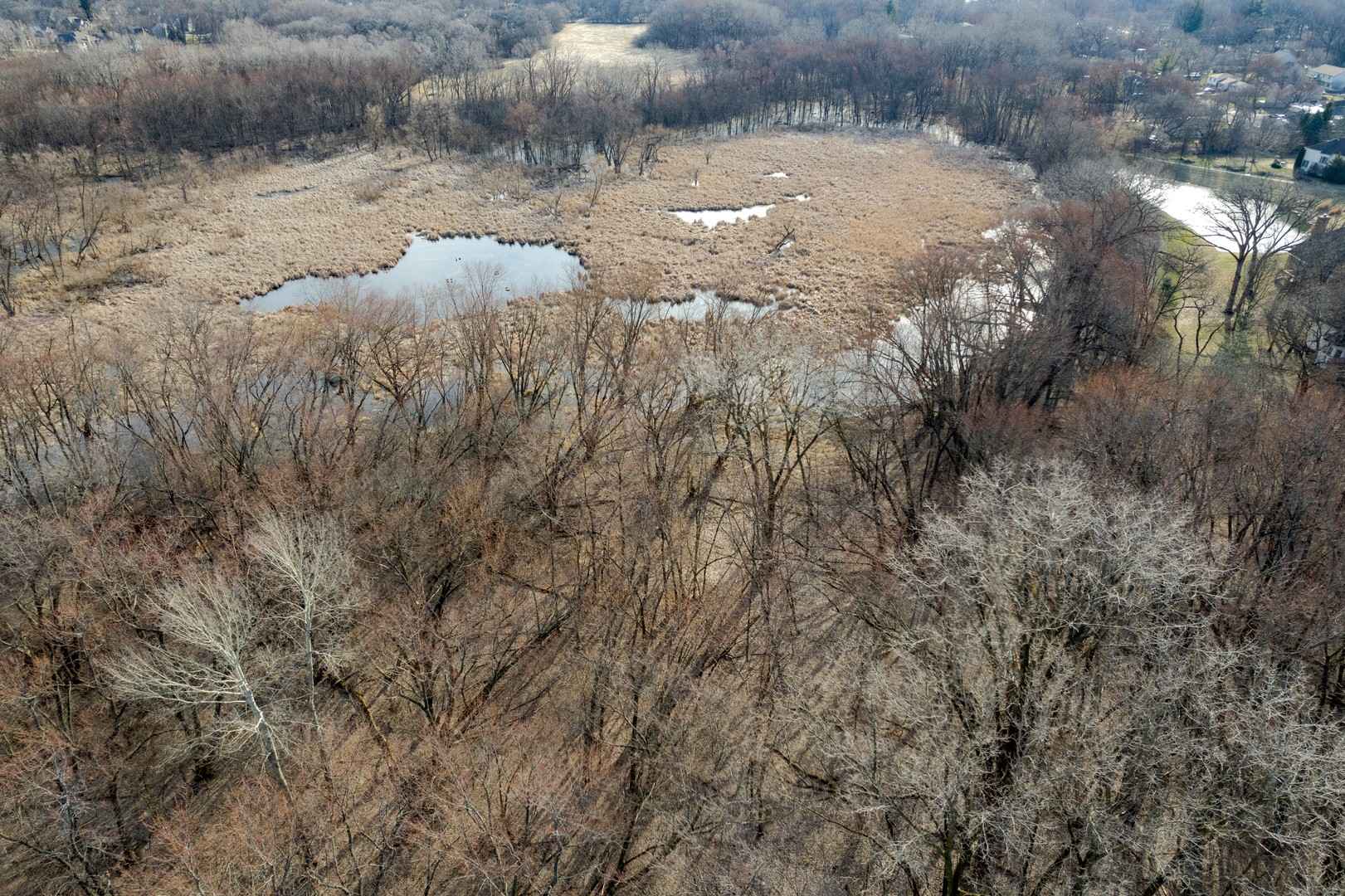 Lot 10 Millard Ave  