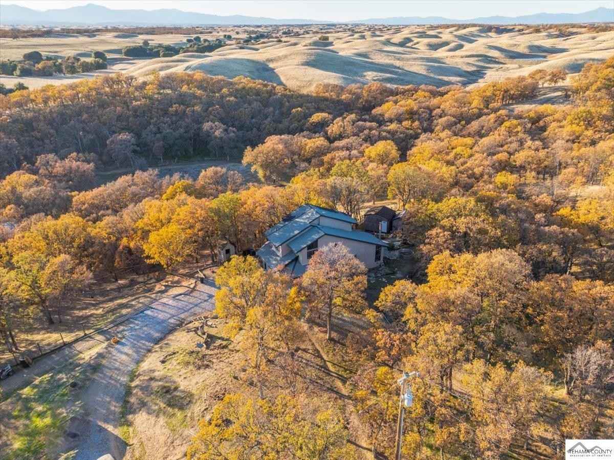 18595 Morris Ct  