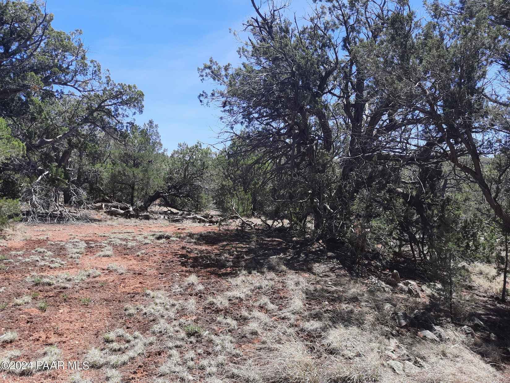 Lot 309 Frst Acres  