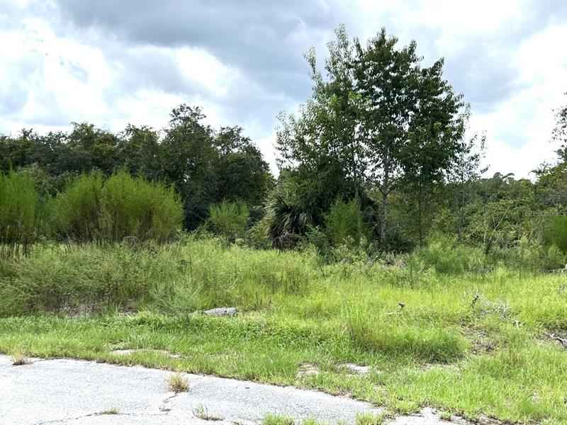 1417 Sebring Way  