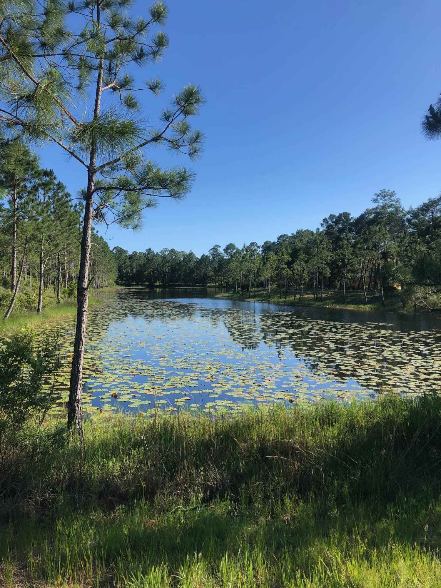 1521 Dune Lk Trl  