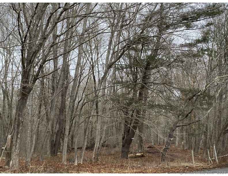 770 Lot 1 Pequot Trl  