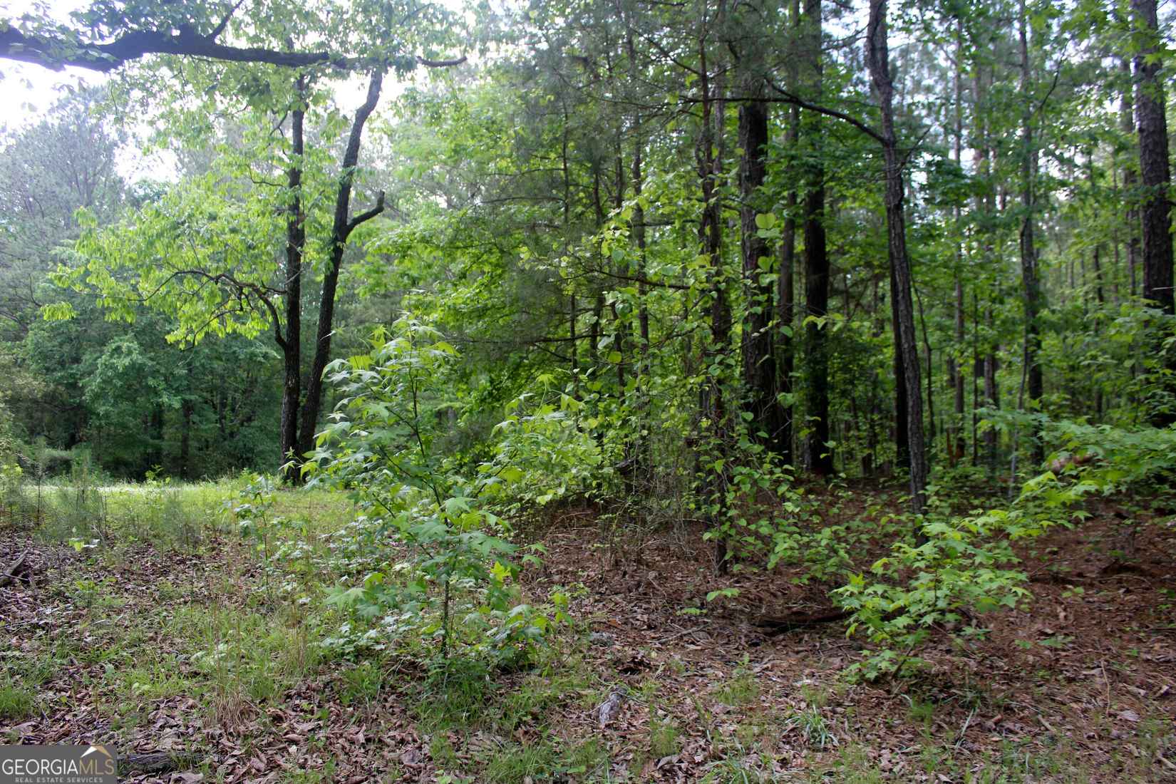 0 Mount Carmel Rd  