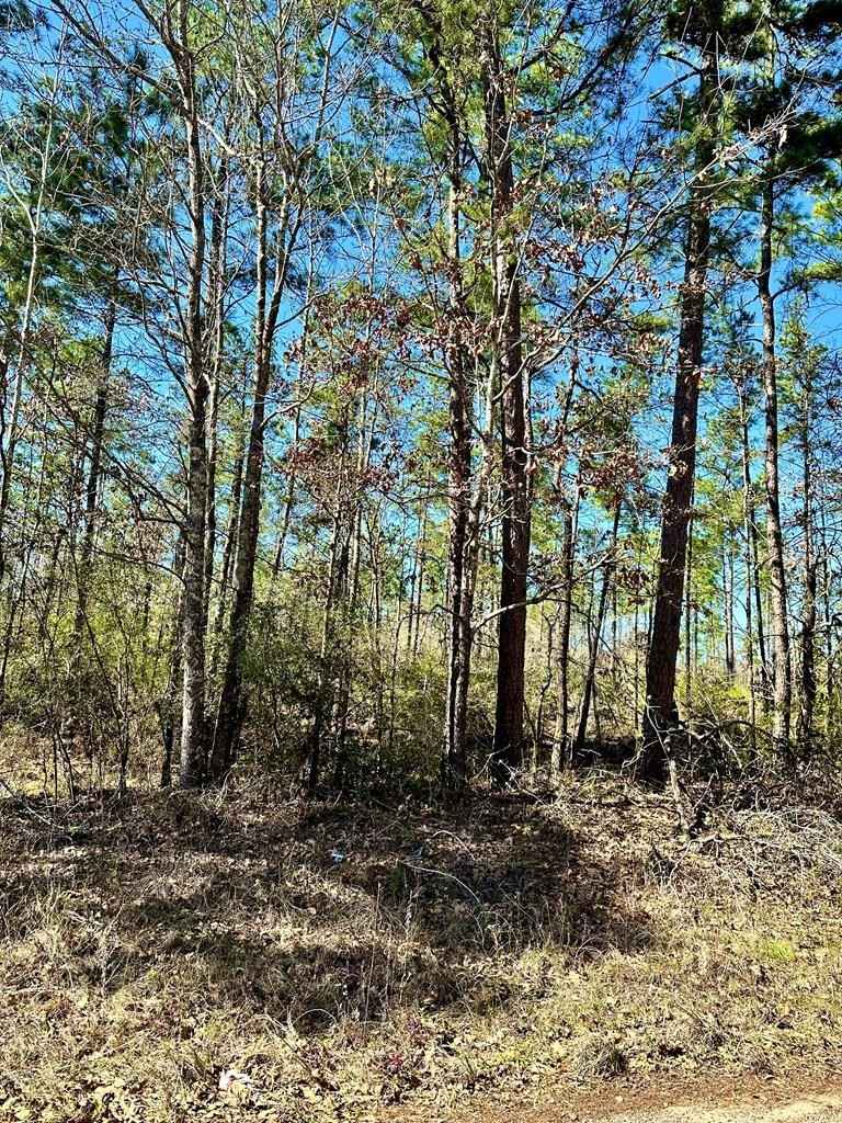 R153103 Whitehead Rd  