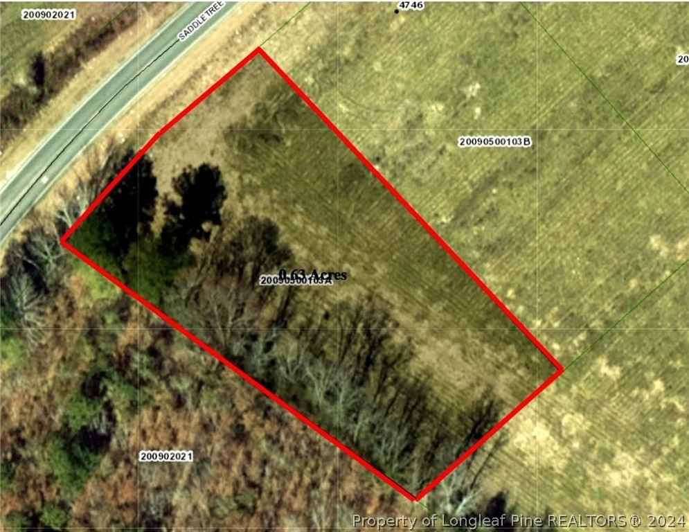 000 Saddletree (Lot 1) Rd  