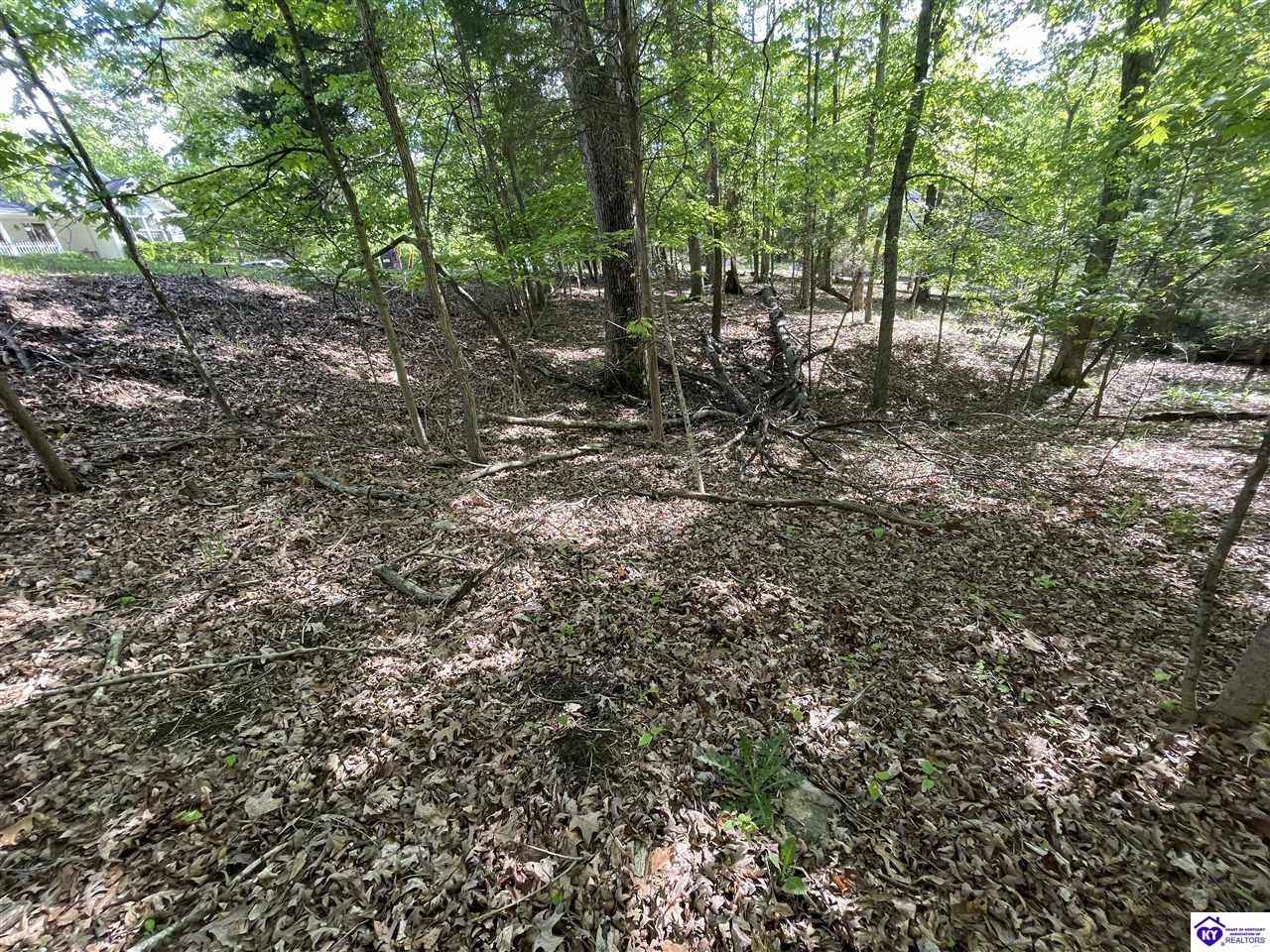 Lot 243 Pine Pt Rd  
