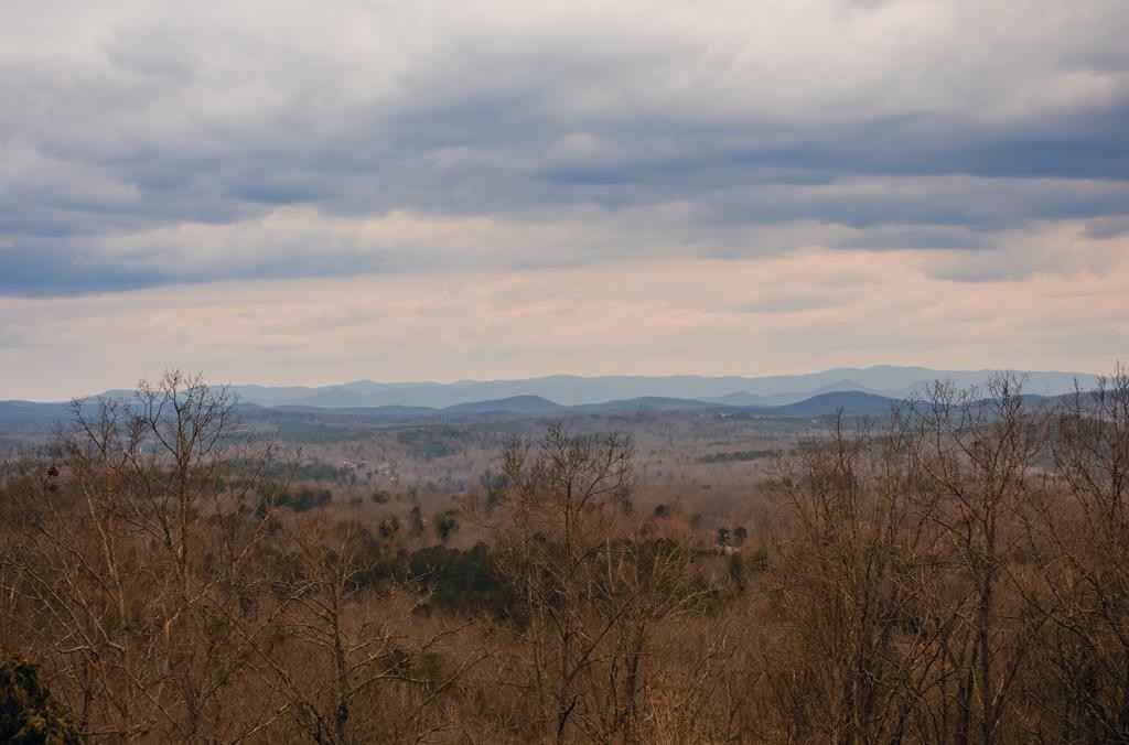 364 Sorghum Mill Run  
