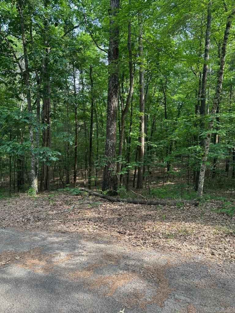 Lot 61 West Clf Dr  